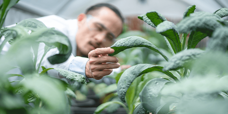how-to-improve-biosensors-for-your-plant-disease-detection-product