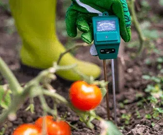 moisture-meters-in-the-agriculture-industry