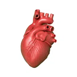 arrk-medical-heart